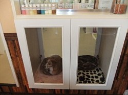 わんちゃんルーム♪