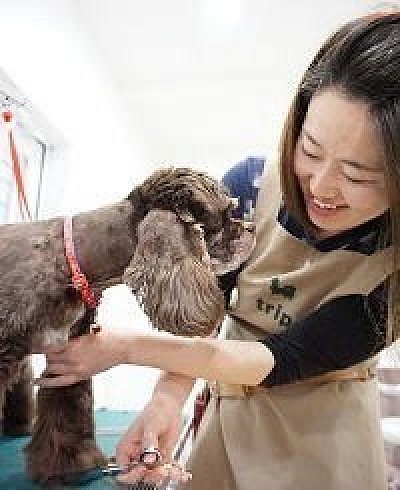 まるやま　なおこ