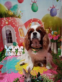 model:チャックちゃん